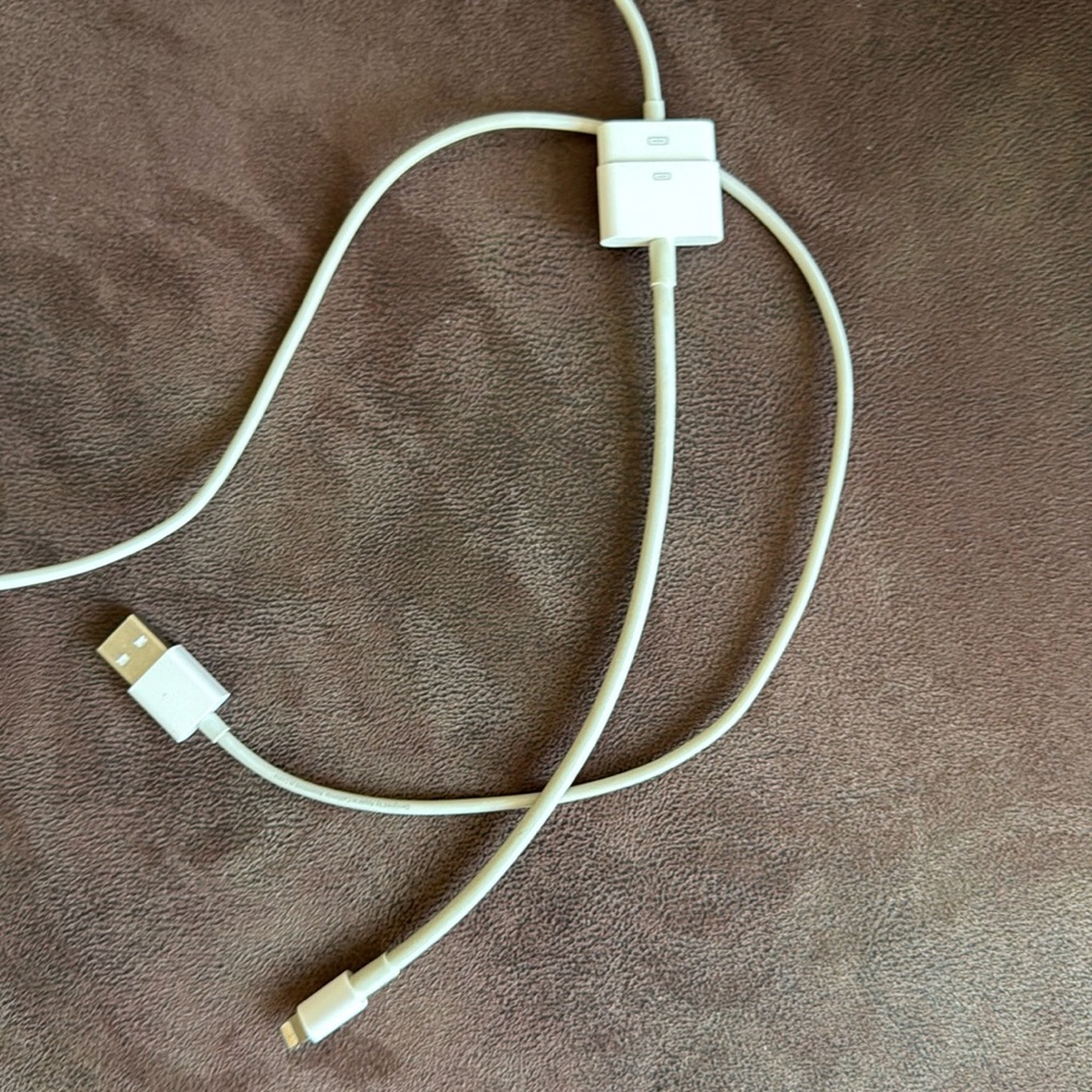 Apple Adapting Cable